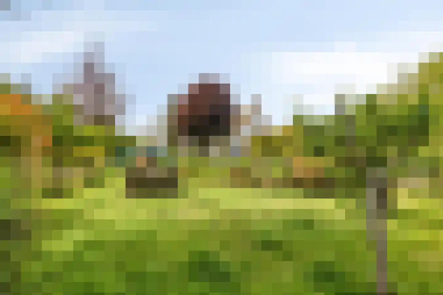 Oude Rijksweg 72 Rilland thumbnail 63