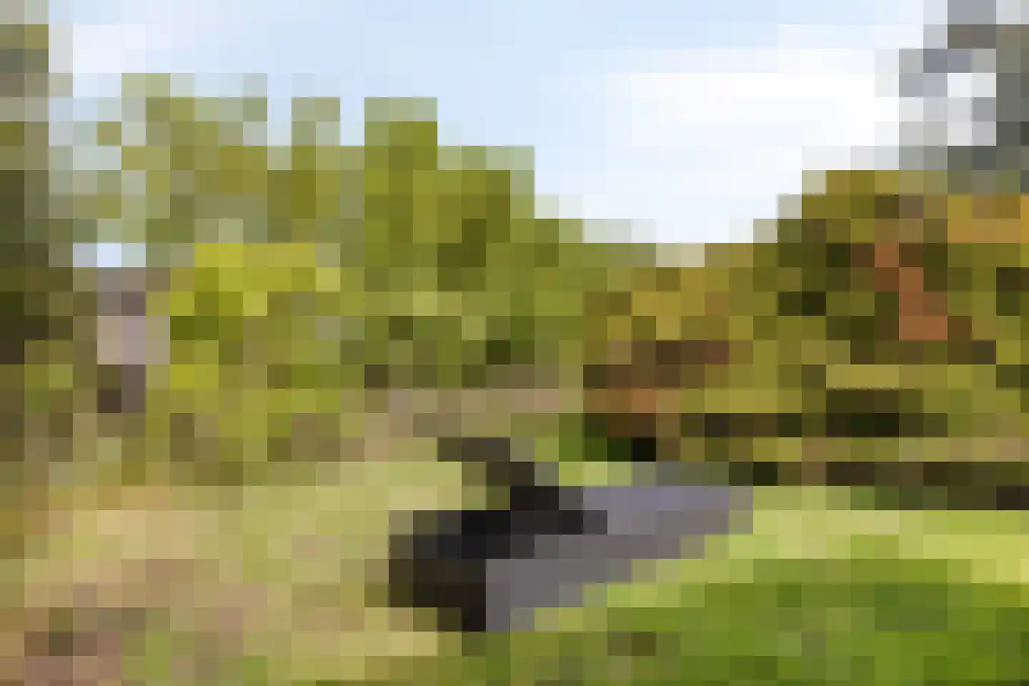 Oude Rijksweg 72 Rilland thumbnail 64
