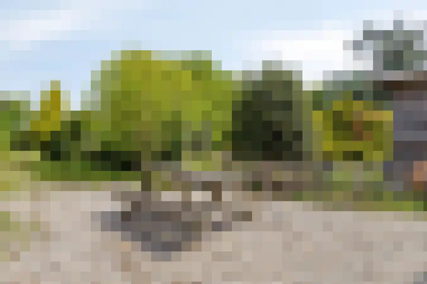 Oude Rijksweg 72 Rilland thumbnail 67