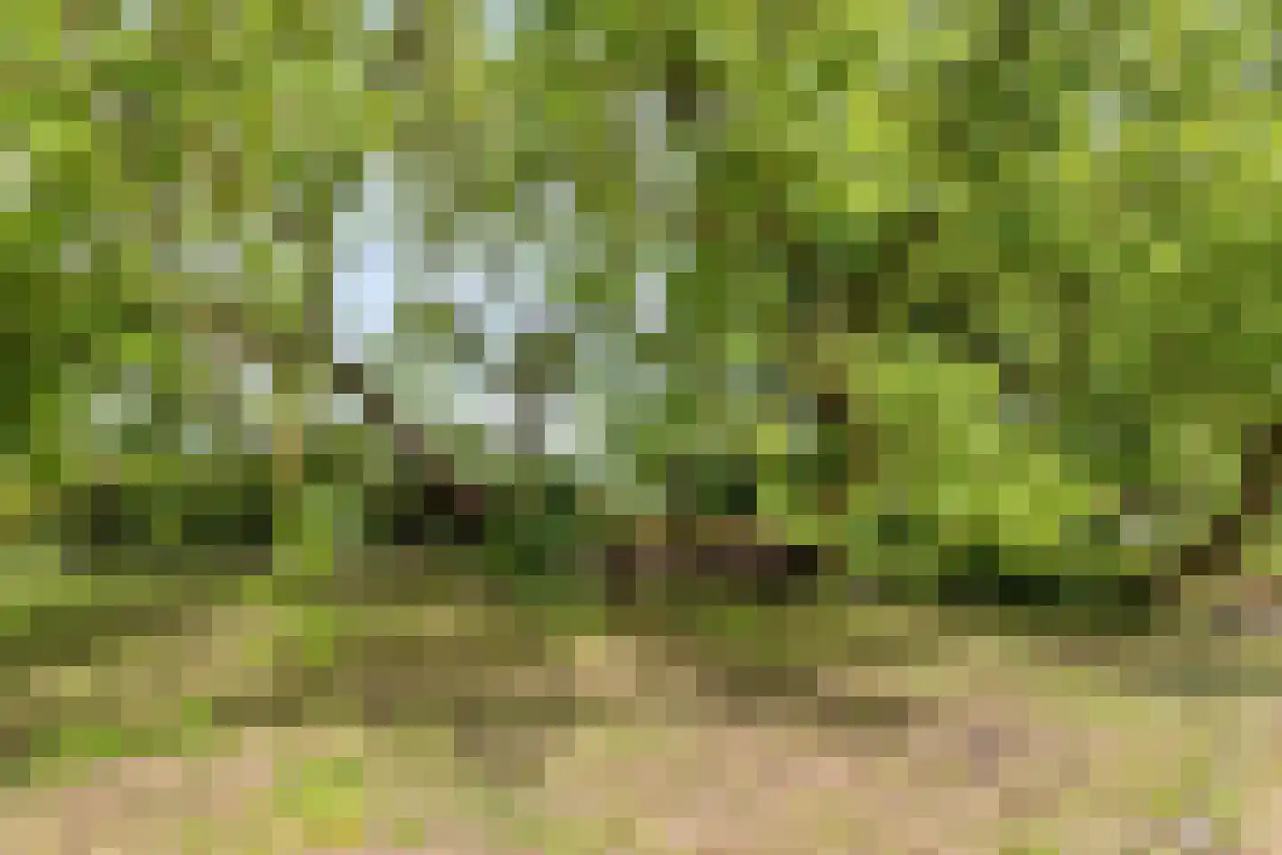 Oude Rijksweg 72 Rilland thumbnail 69