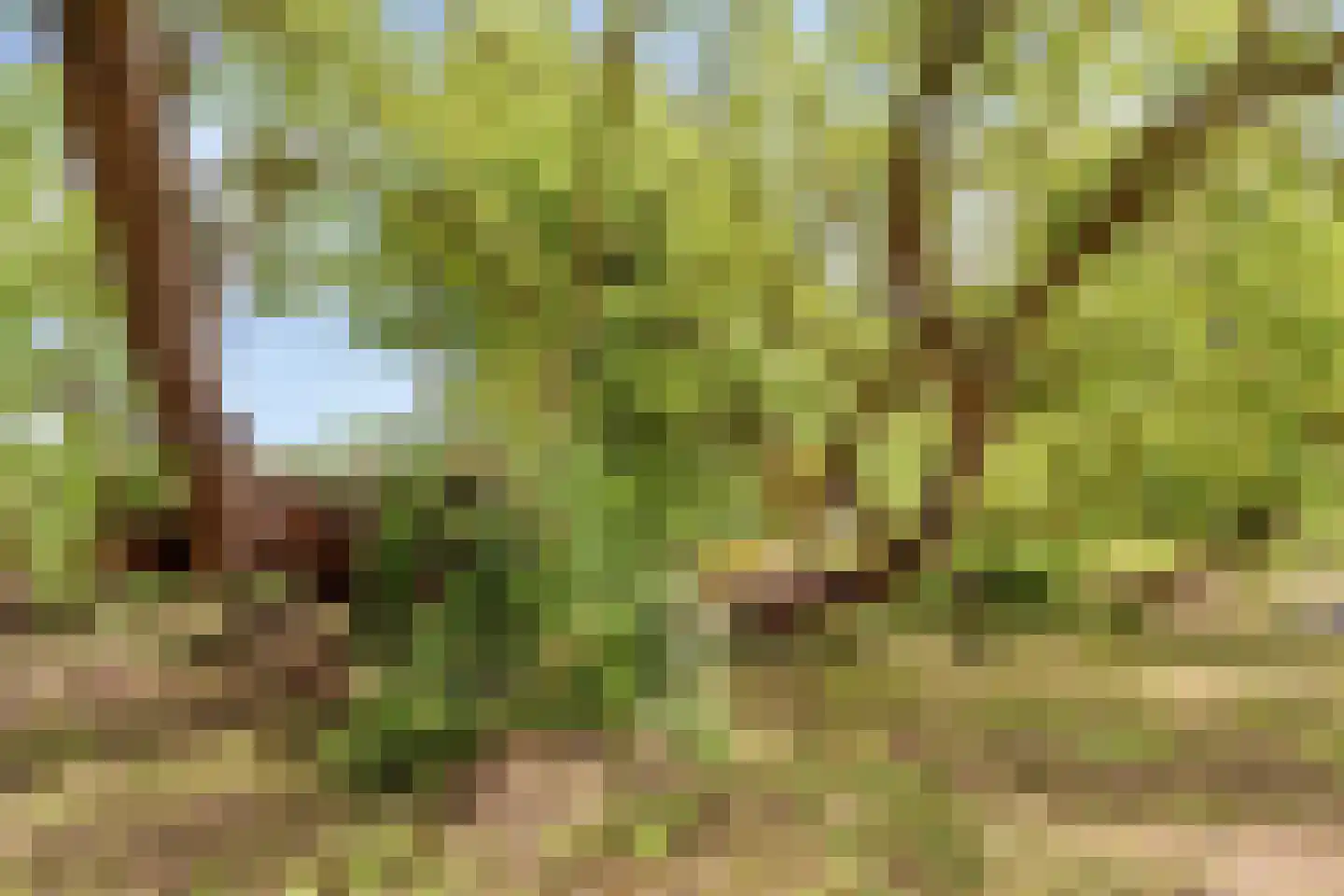Oude Rijksweg 72 Rilland thumbnail 70