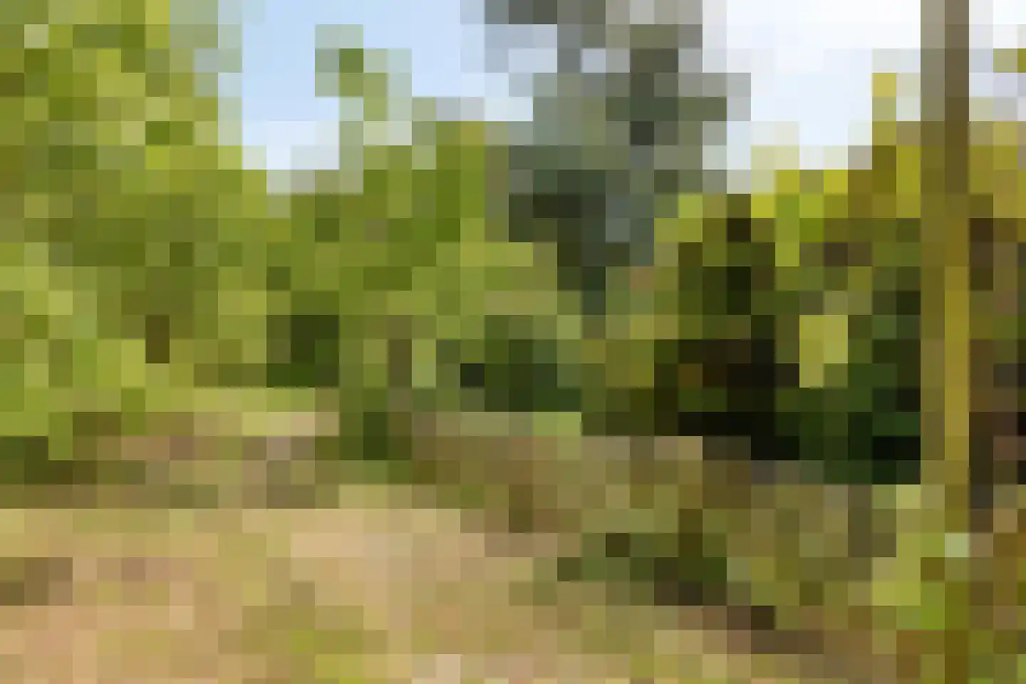 Oude Rijksweg 72 Rilland thumbnail 71