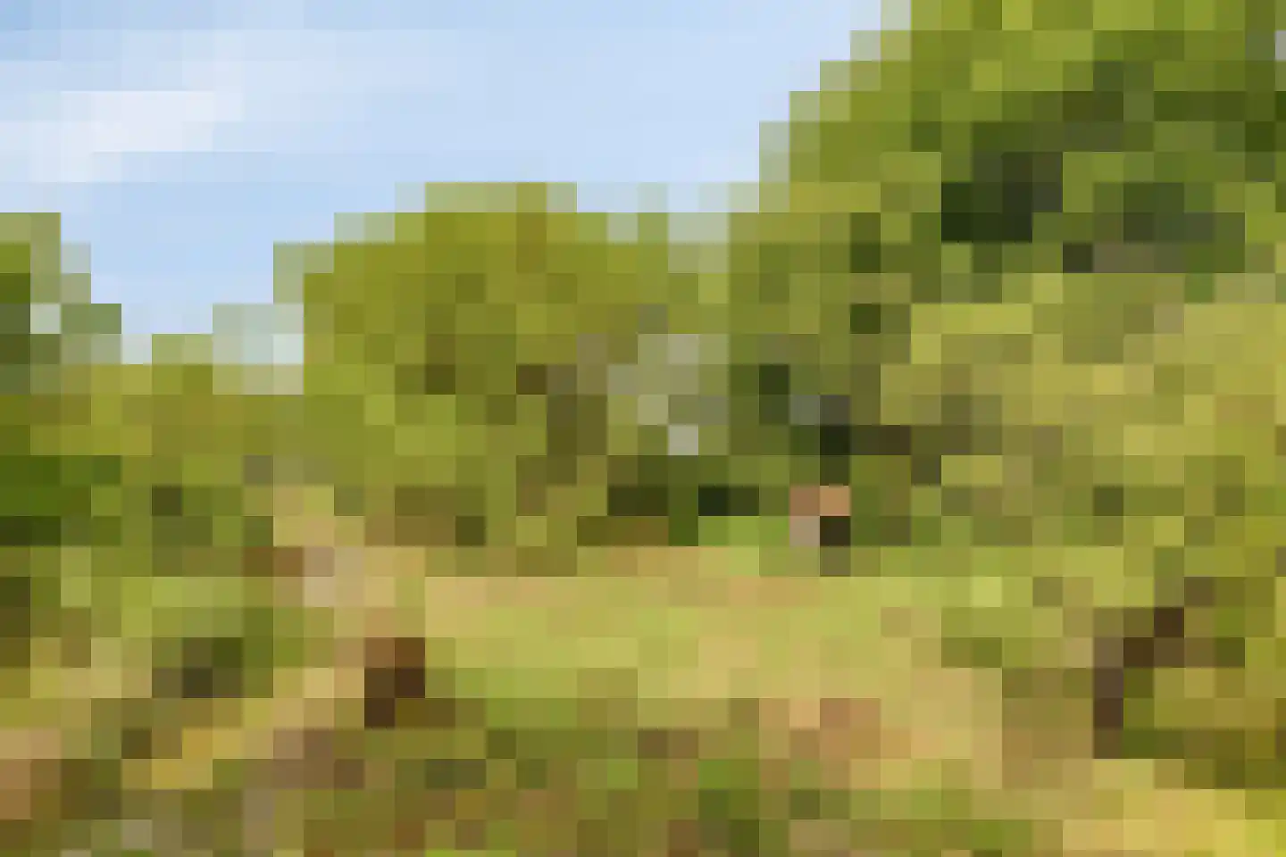Oude Rijksweg 72 Rilland thumbnail 72