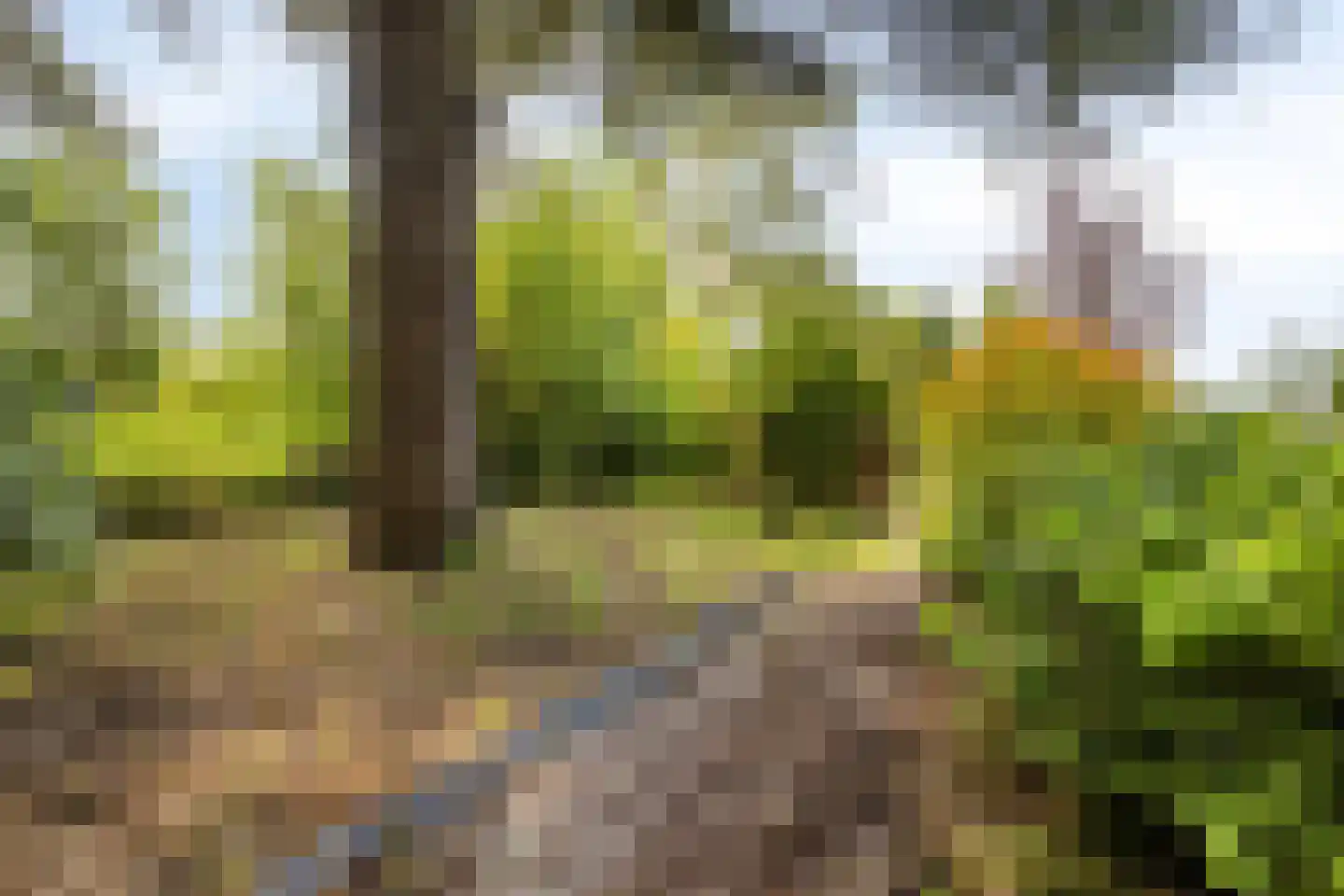 Oude Rijksweg 72 Rilland thumbnail 73