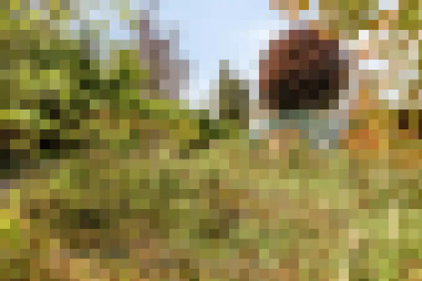 Oude Rijksweg 72 Rilland thumbnail 74