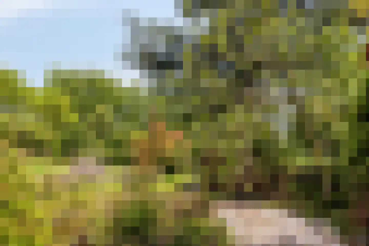 Oude Rijksweg 72 Rilland thumbnail 75