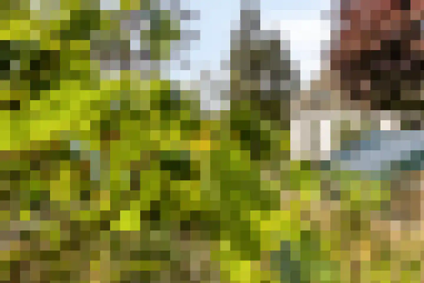 Oude Rijksweg 72 Rilland thumbnail 76