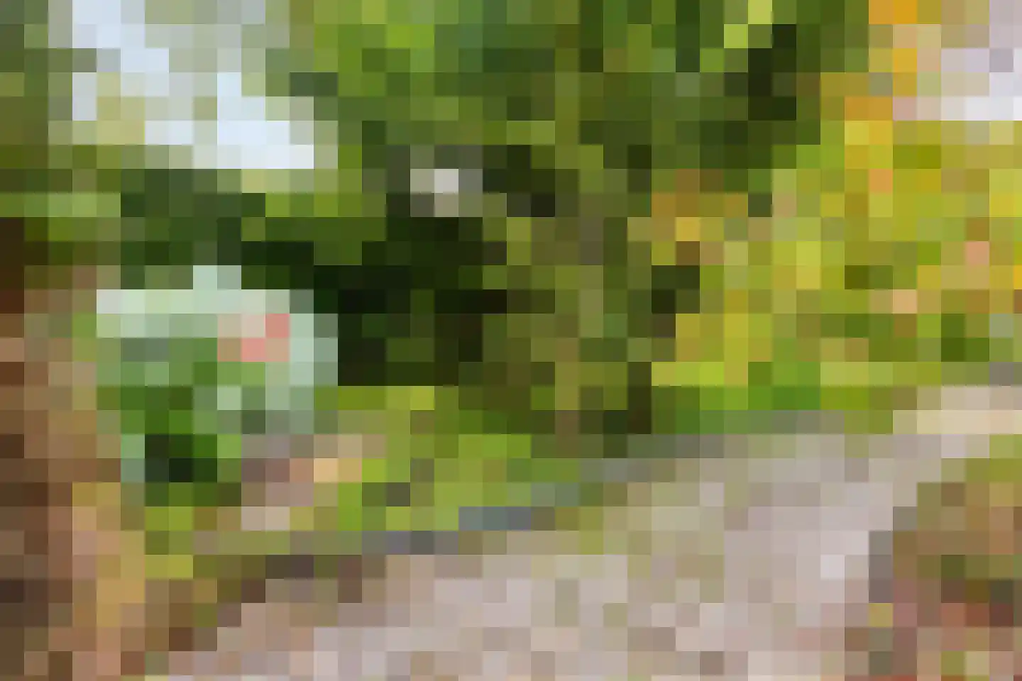 Oude Rijksweg 72 Rilland thumbnail 77