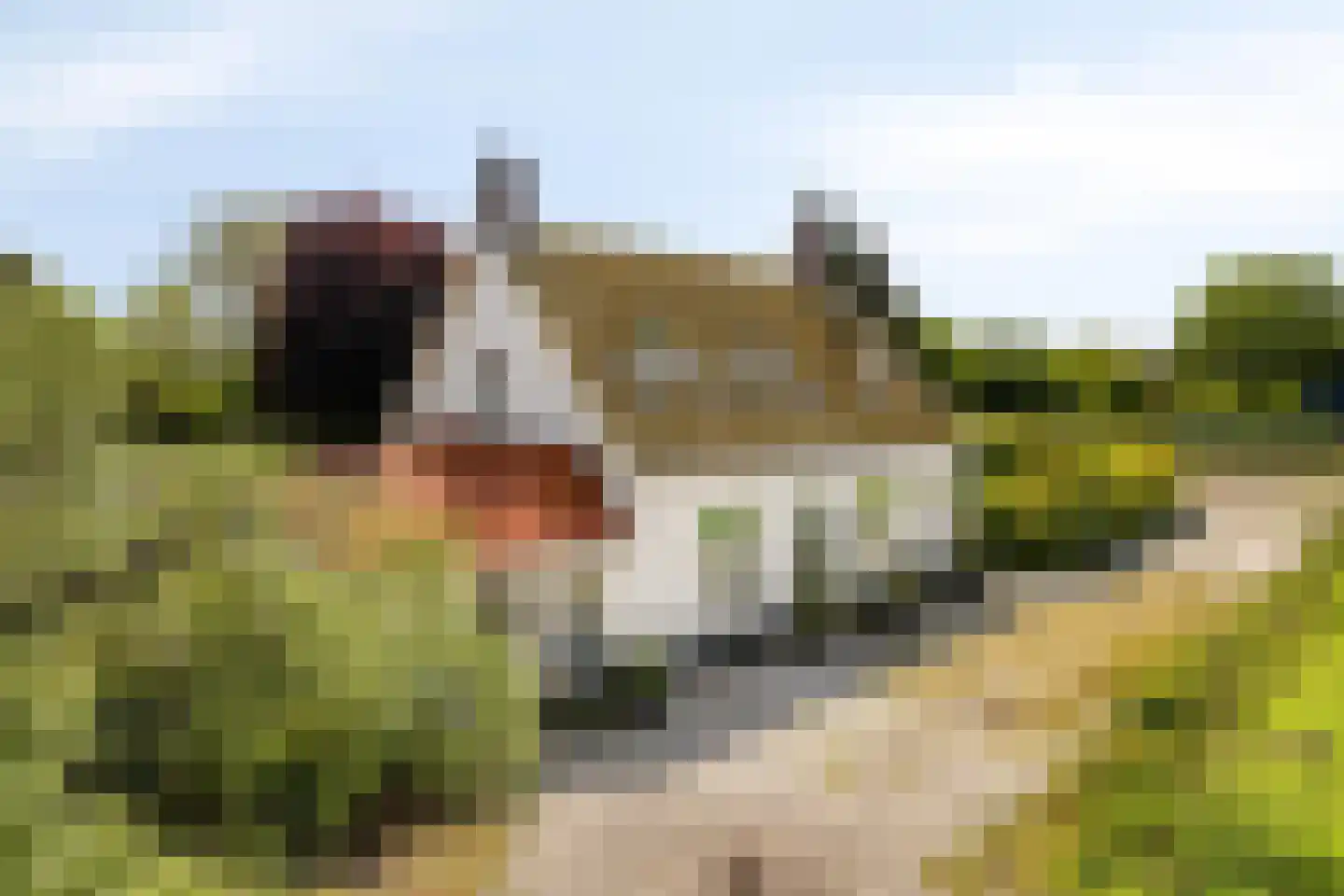 Oude Rijksweg 72 Rilland thumbnail 83