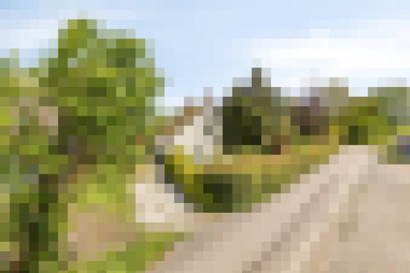 Oude Rijksweg 72 Rilland thumbnail 85