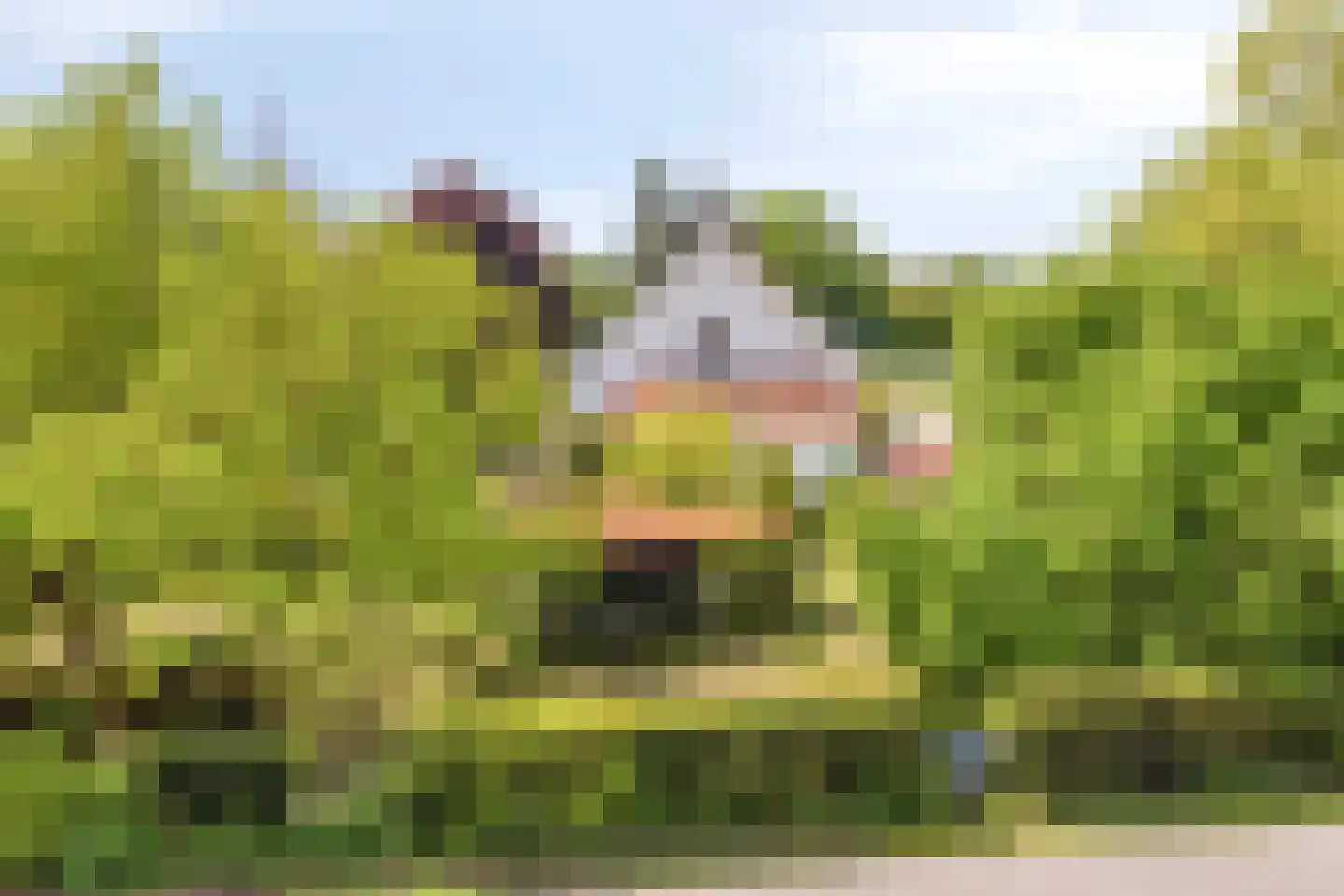 Oude Rijksweg 72 Rilland thumbnail 86