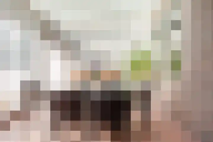 Oude Rijksweg 76 't Zand thumbnail 12