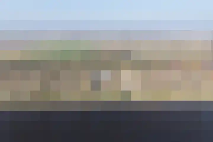 Oude Rijksweg 76 't Zand thumbnail 36