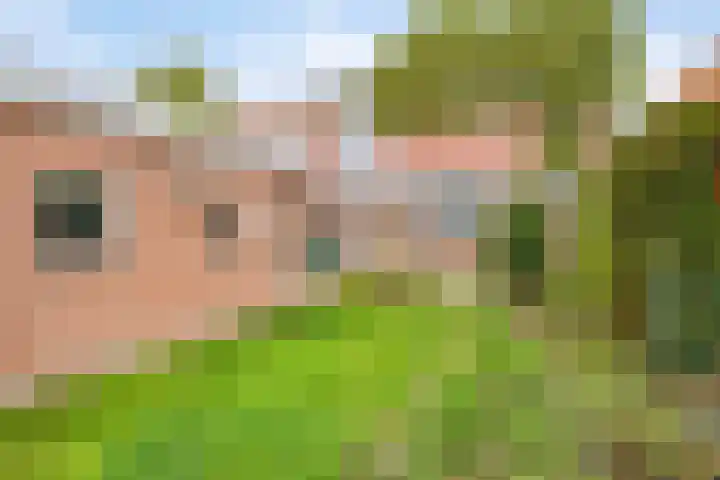 Oude Rijksweg 82 Nieuw- en Sint Joosland thumbnail 20