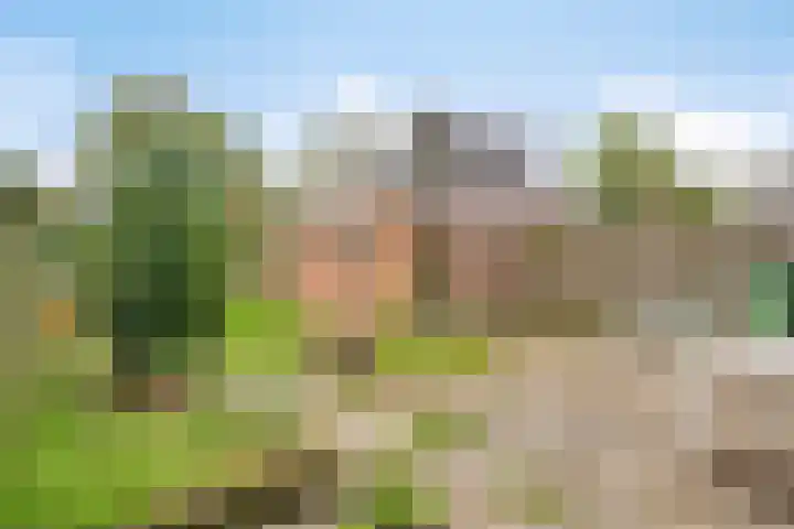 Oude Rijksweg 82 Nieuw- en Sint Joosland thumbnail 21