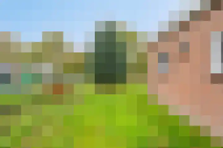Oude Rijksweg 82 Nieuw- en Sint Joosland thumbnail 23