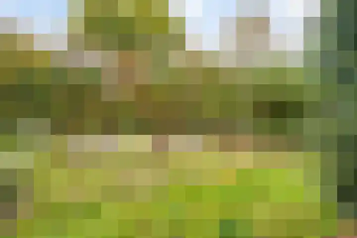 Oude Rijksweg 82 Nieuw- en Sint Joosland thumbnail 24