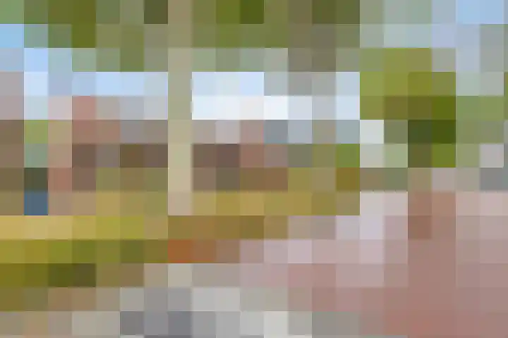 Oude Rijksweg 82 Nieuw- en Sint Joosland thumbnail 4