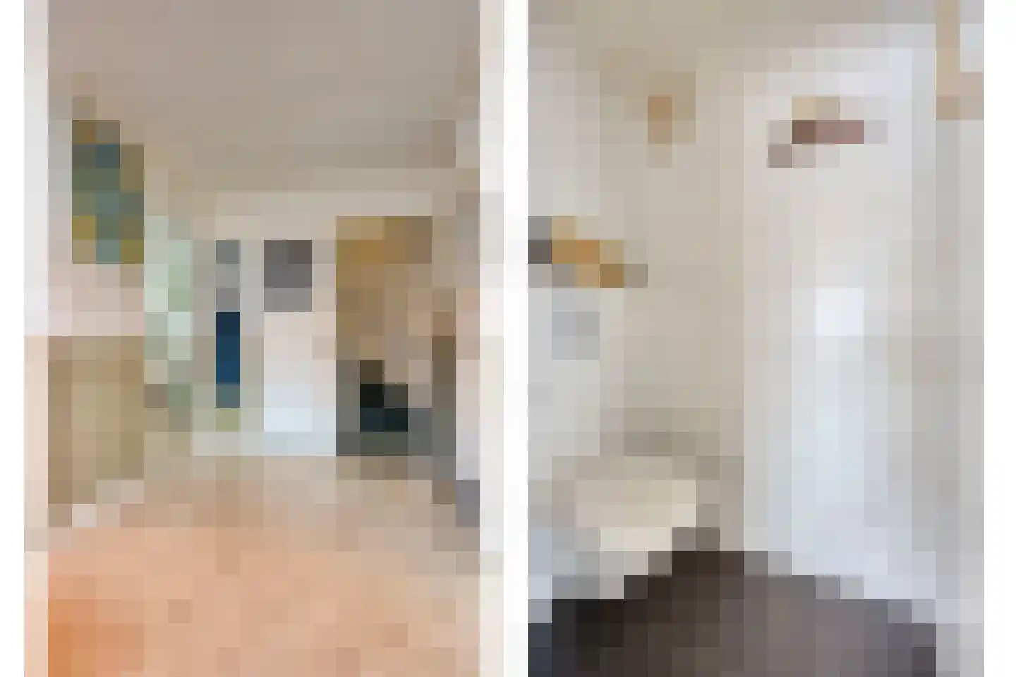 Oude Rijksweg 93 't Zand thumbnail 21