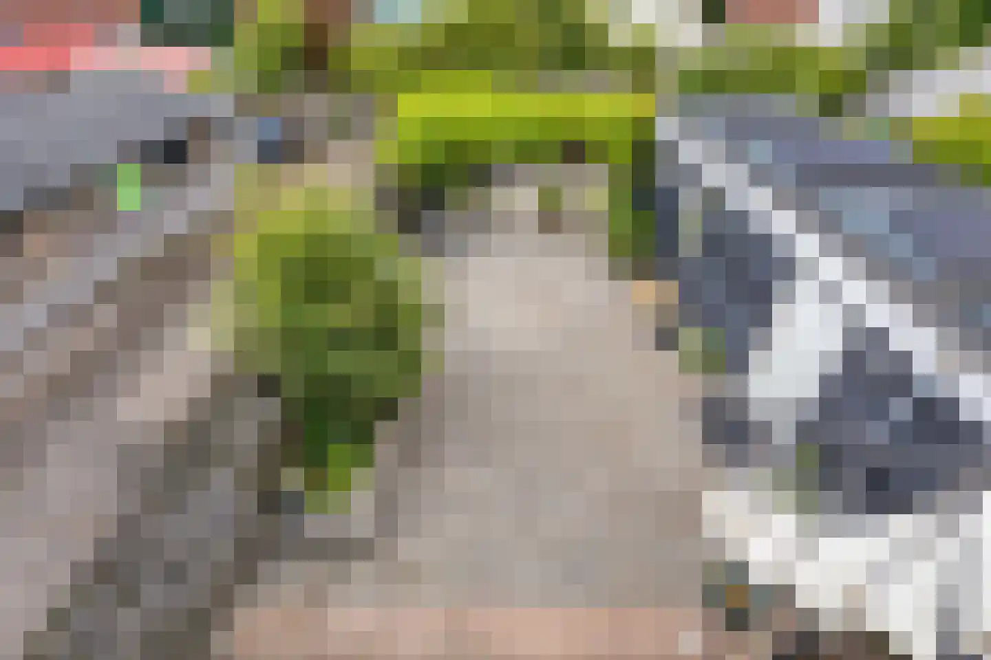 Oude Rijksweg 93 't Zand thumbnail 21