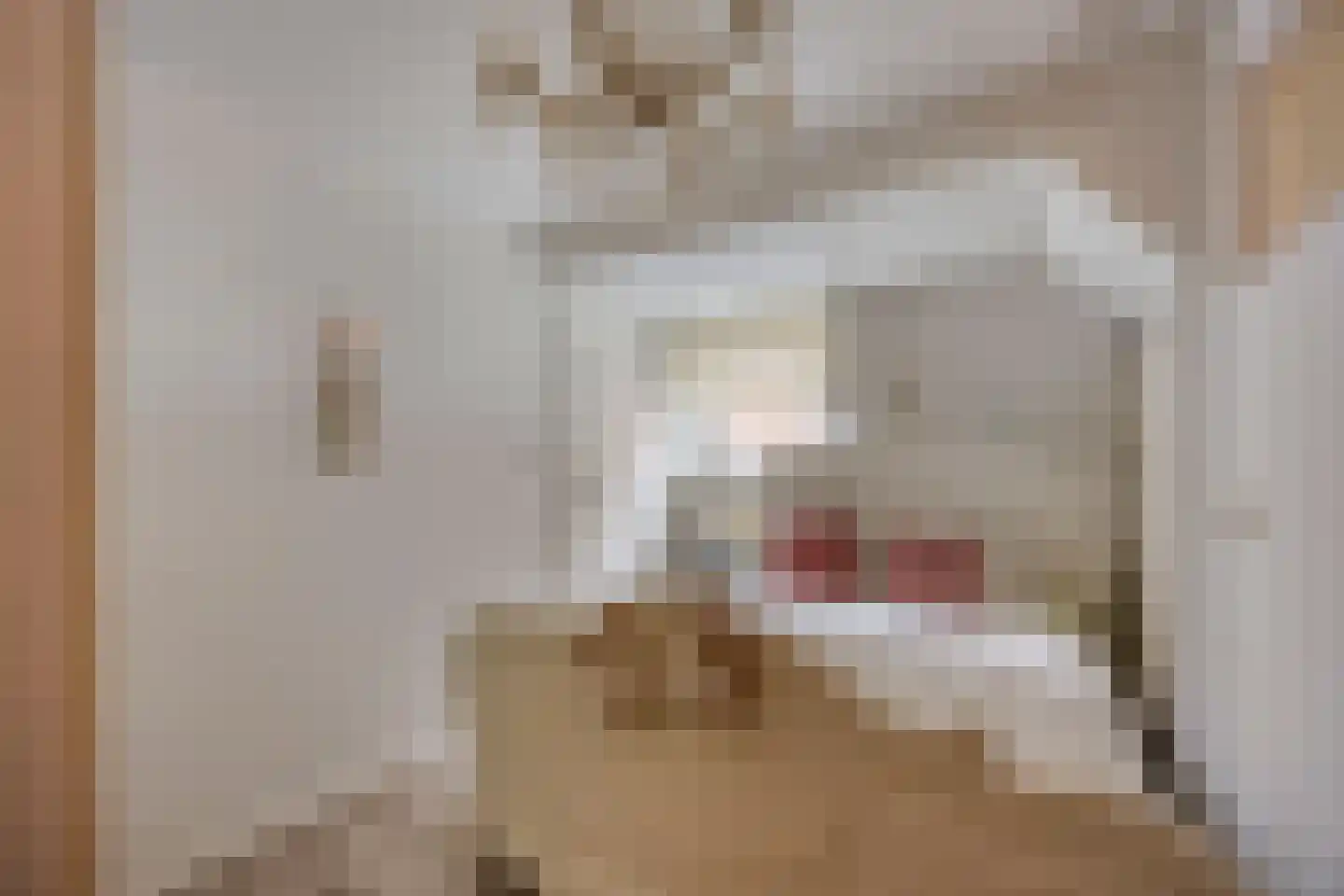 Oude Rijksweg 93 't Zand thumbnail 41