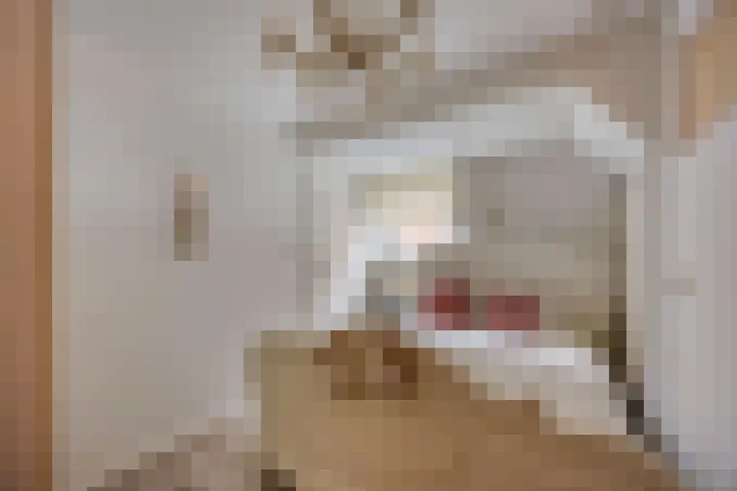 Oude Rijksweg 93 't Zand thumbnail 42