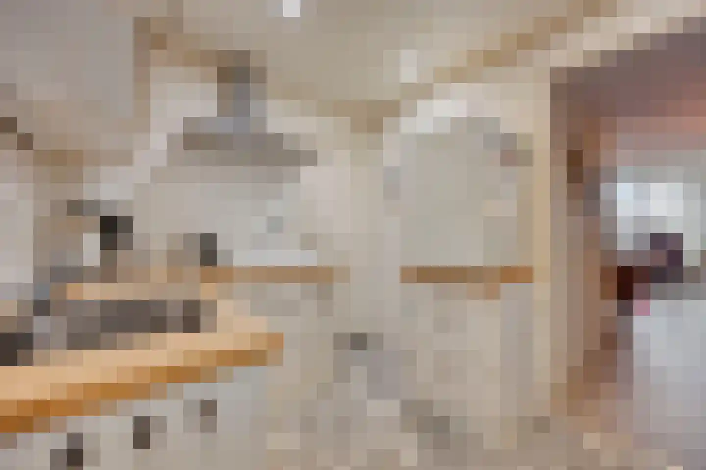 Oude Rijksweg 93 't Zand thumbnail 43