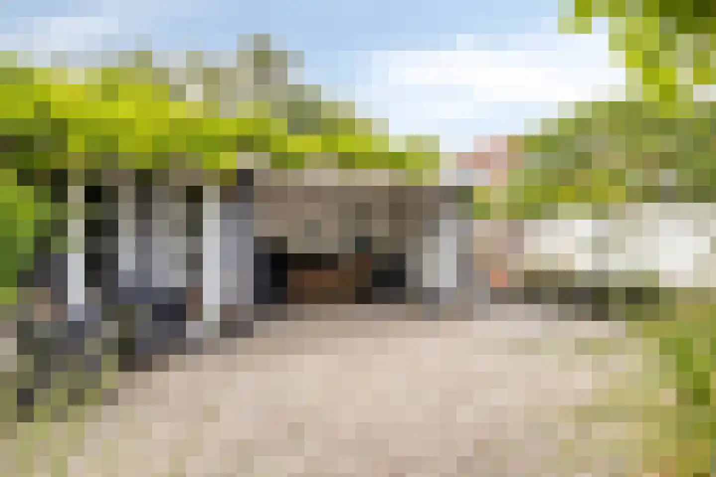 Oude Rijksweg 93 't Zand thumbnail 53