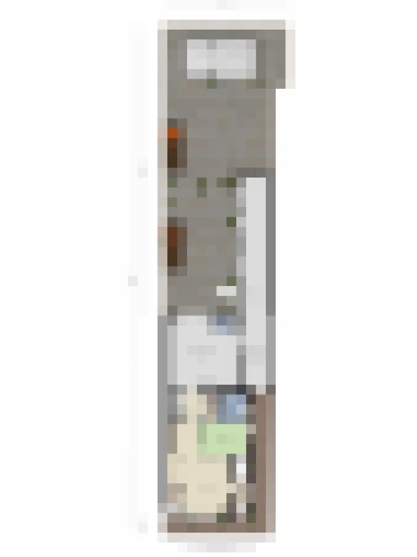 Oude Rijksweg 93 't Zand thumbnail 62