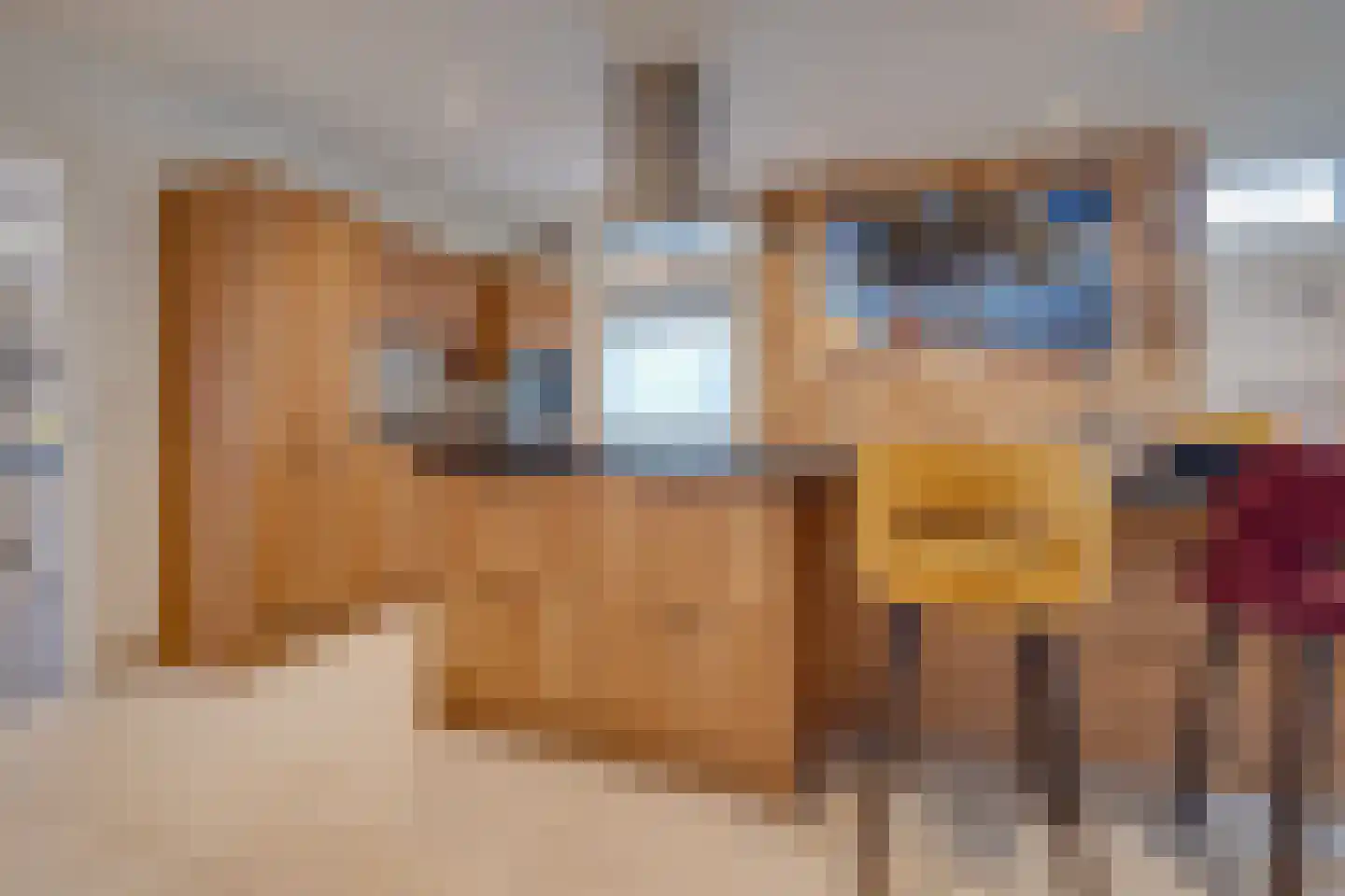 Oude Rijksweg Noord 18 Susteren thumbnail 13