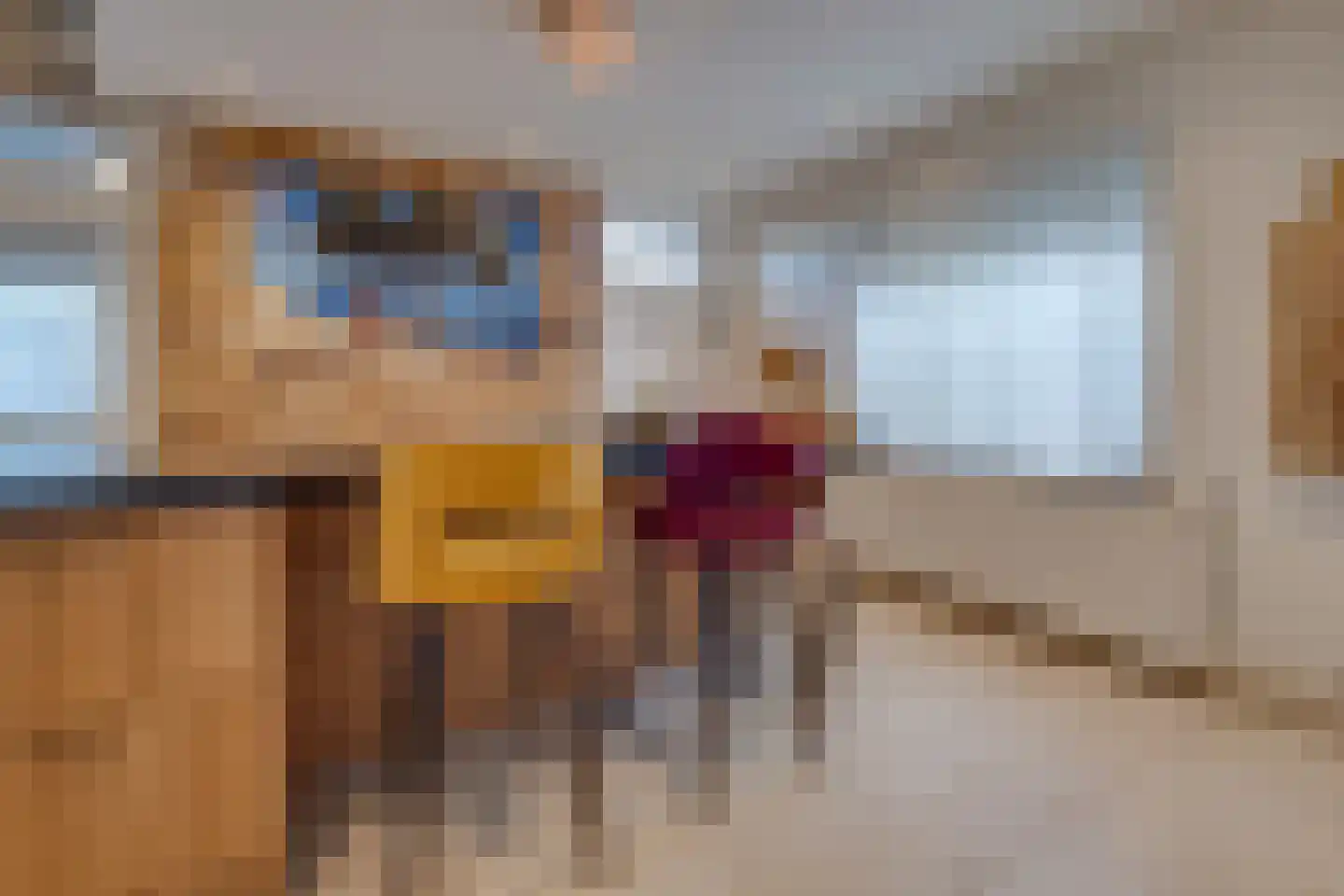 Oude Rijksweg Noord 18 Susteren thumbnail 14