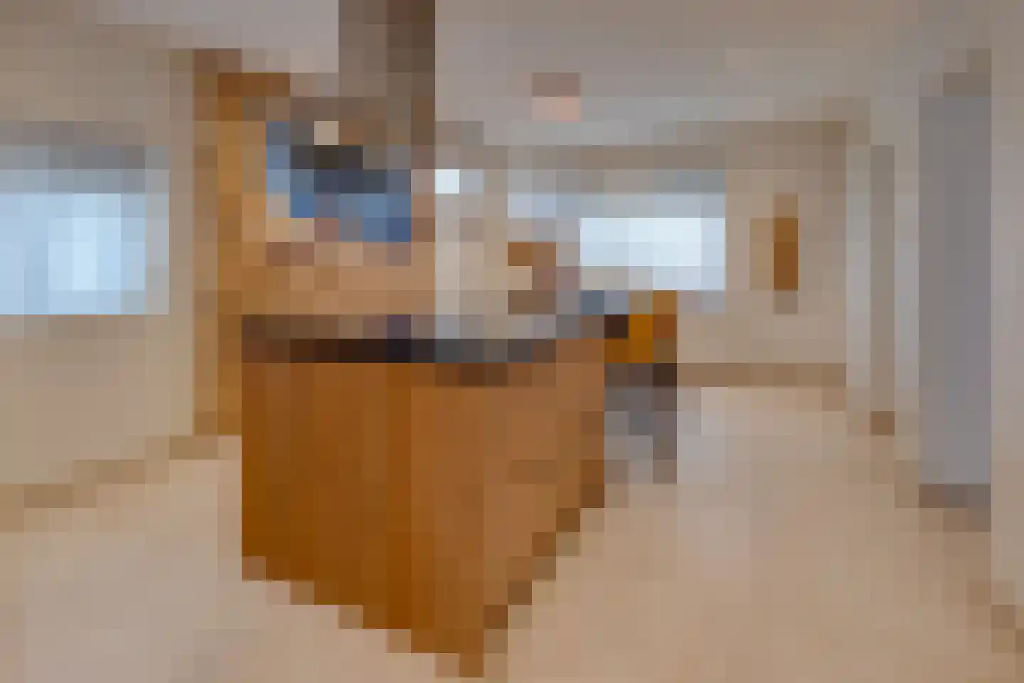 Oude Rijksweg Noord 18 Susteren thumbnail 15