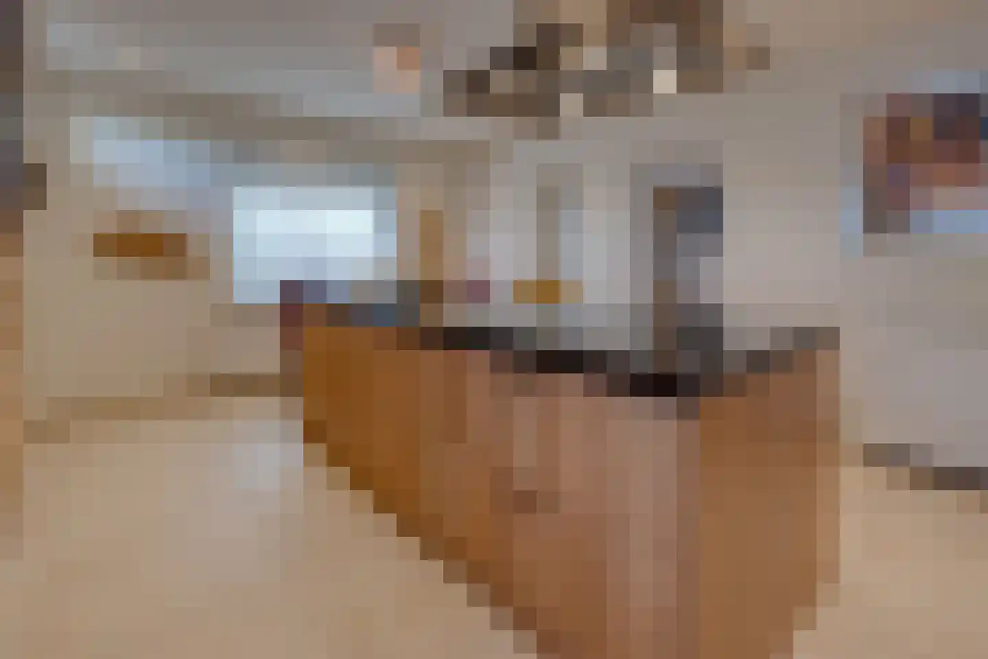 Oude Rijksweg Noord 18 Susteren thumbnail 16