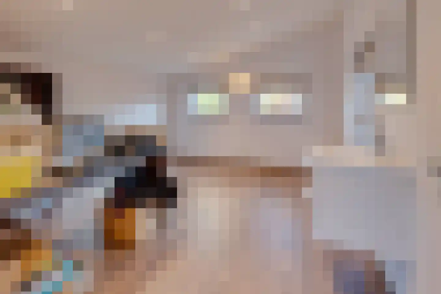Oude Rijksweg Noord 18 Susteren thumbnail 18