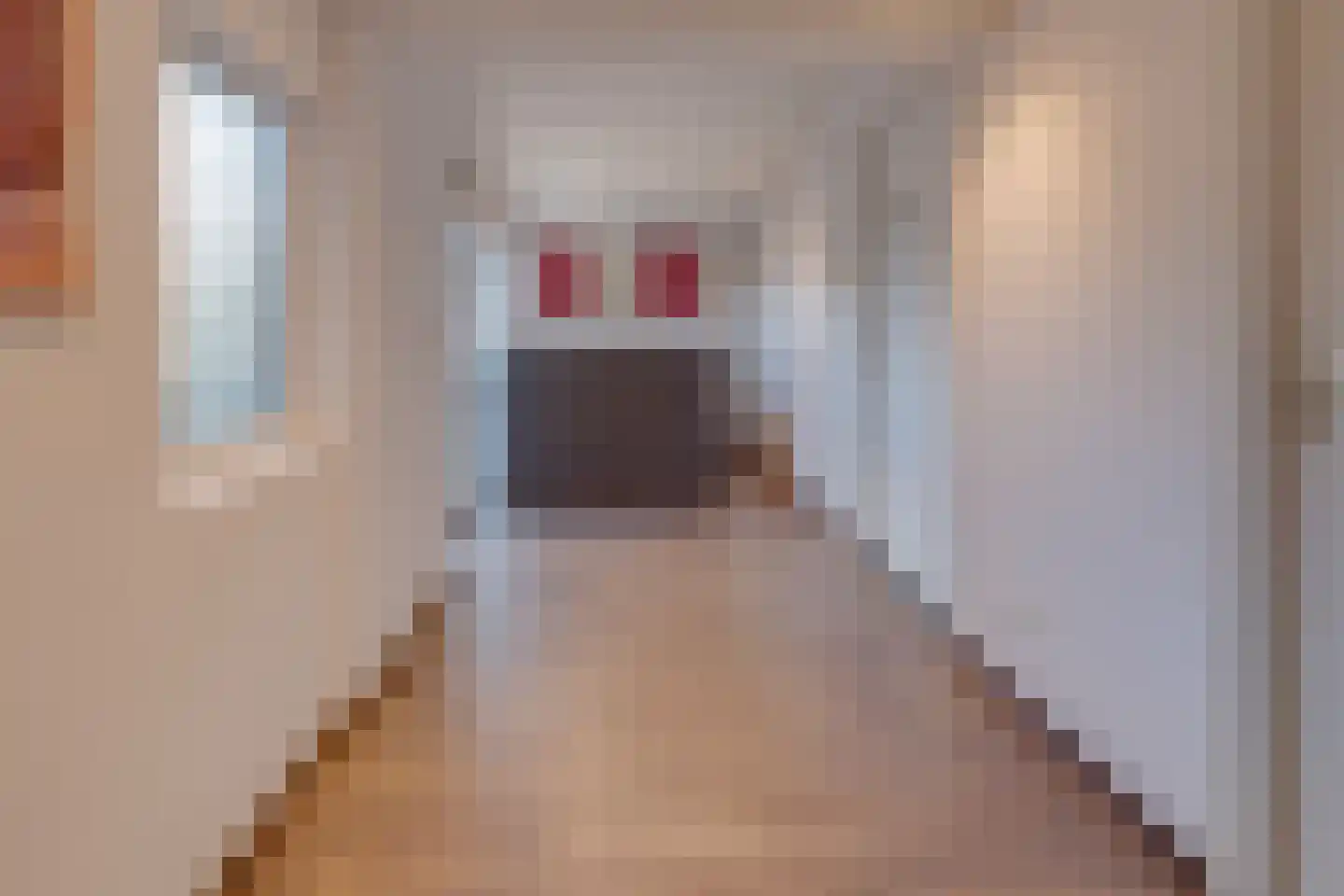 Oude Rijksweg Noord 18 Susteren thumbnail 21