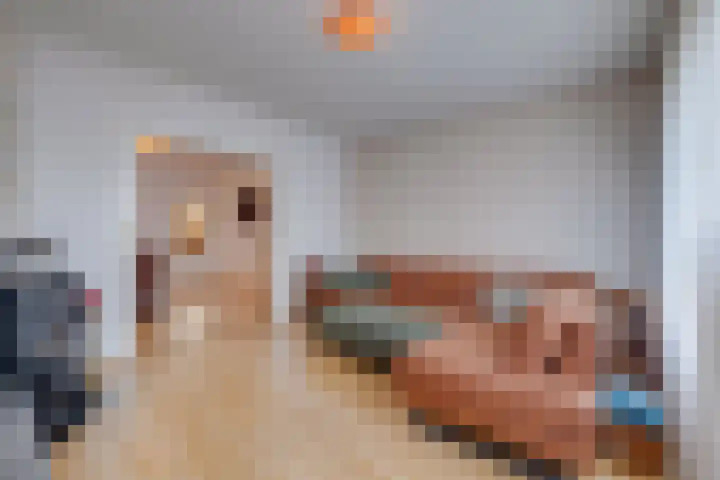 Oude Rijksweg Noord 18 Susteren thumbnail 9