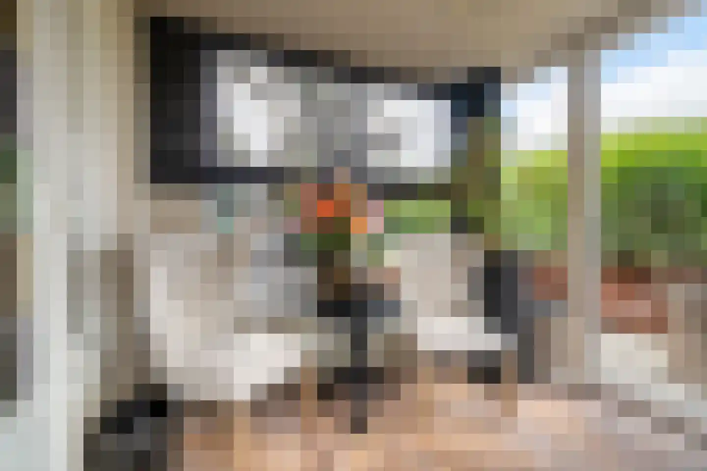 Oude Rijksweg Noord 29 Susteren thumbnail 10