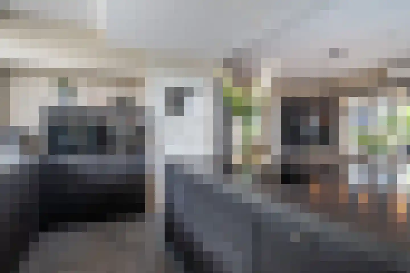 Oude Rijksweg Noord 29 Susteren thumbnail 13