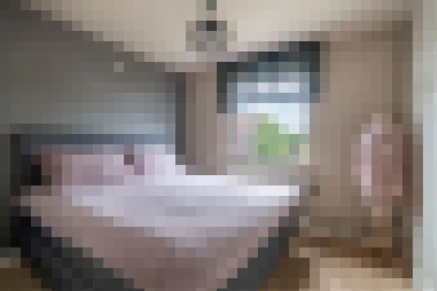 Oude Rijksweg Noord 29 Susteren thumbnail 17