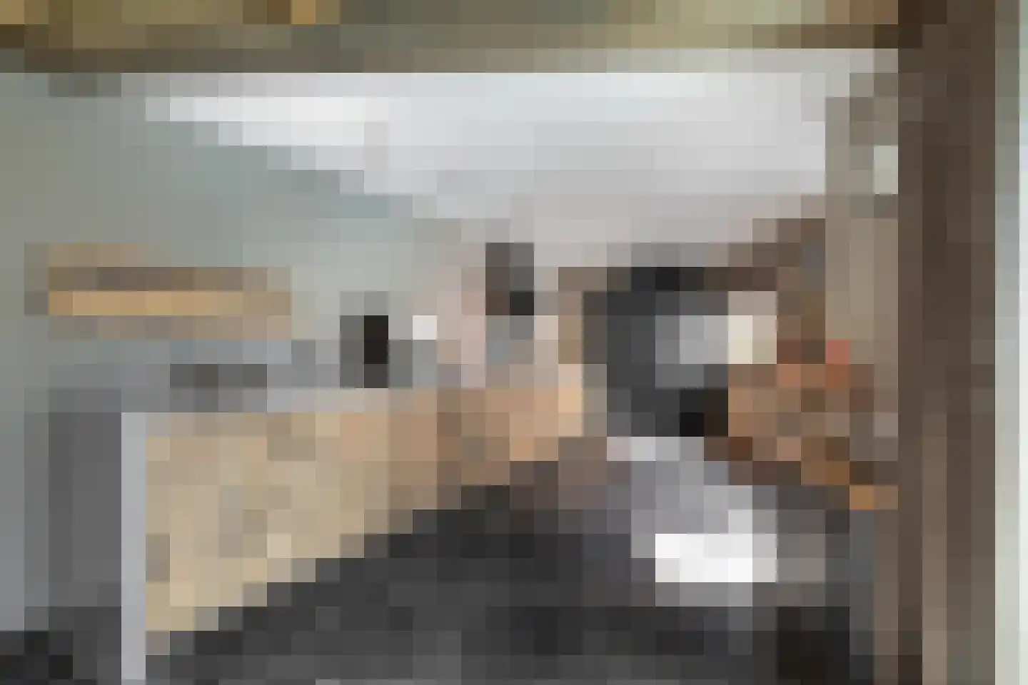Oude Rijksweg Noord 29 Susteren thumbnail 30