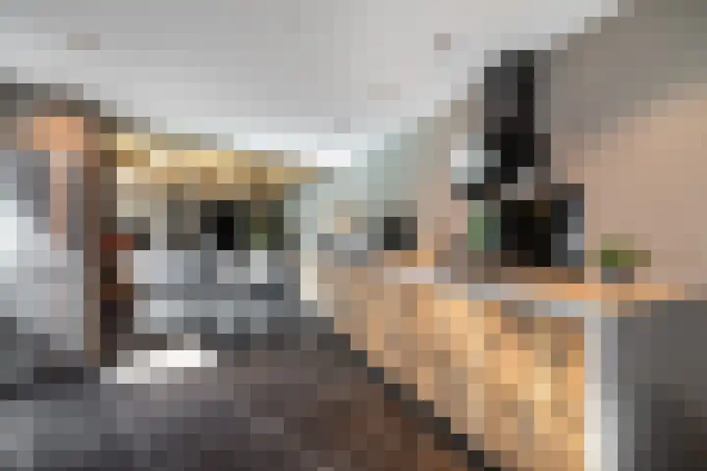 Oude Rijksweg Noord 29 Susteren thumbnail 31