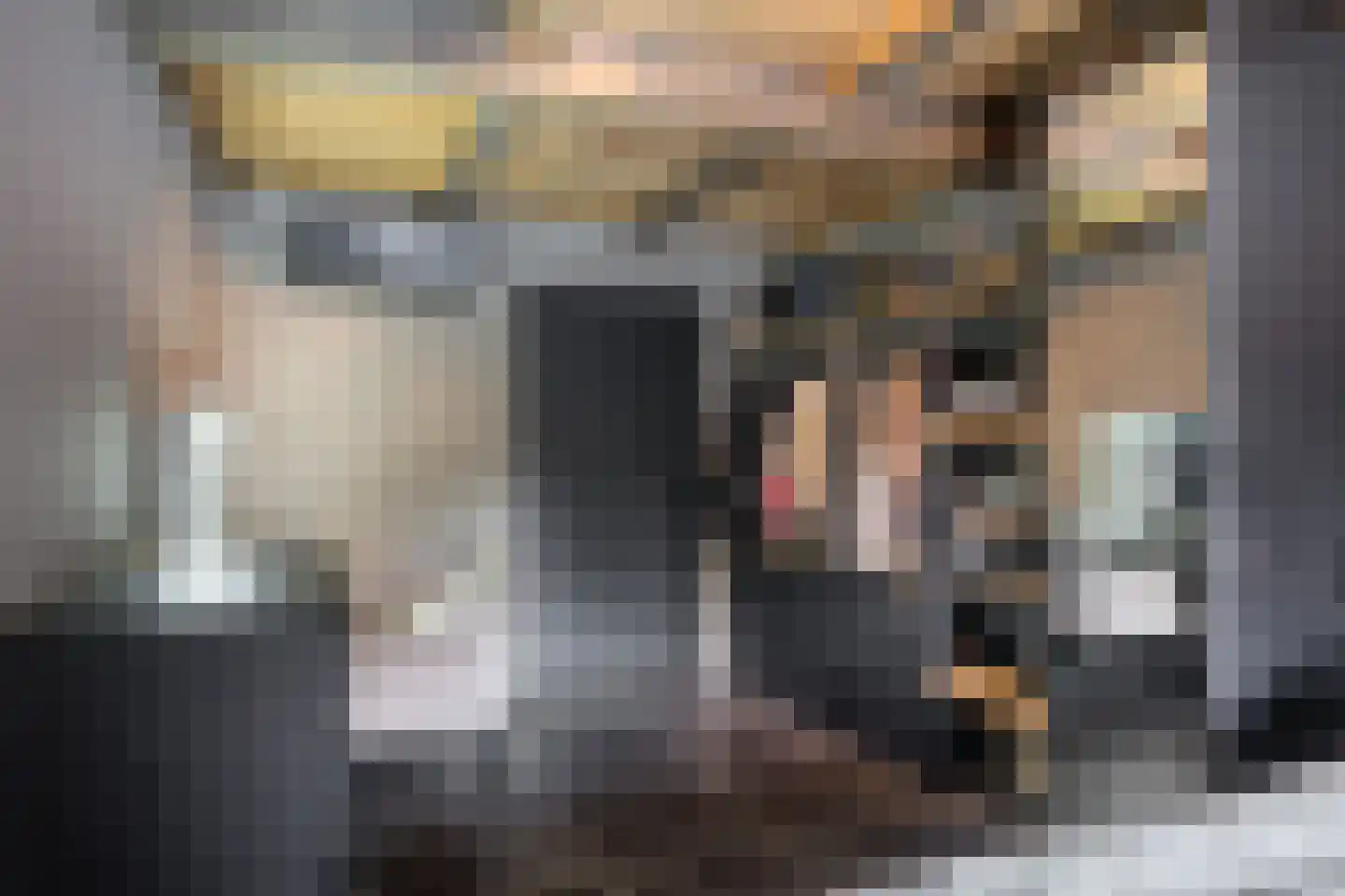 Oude Rijksweg Noord 29 Susteren thumbnail 33