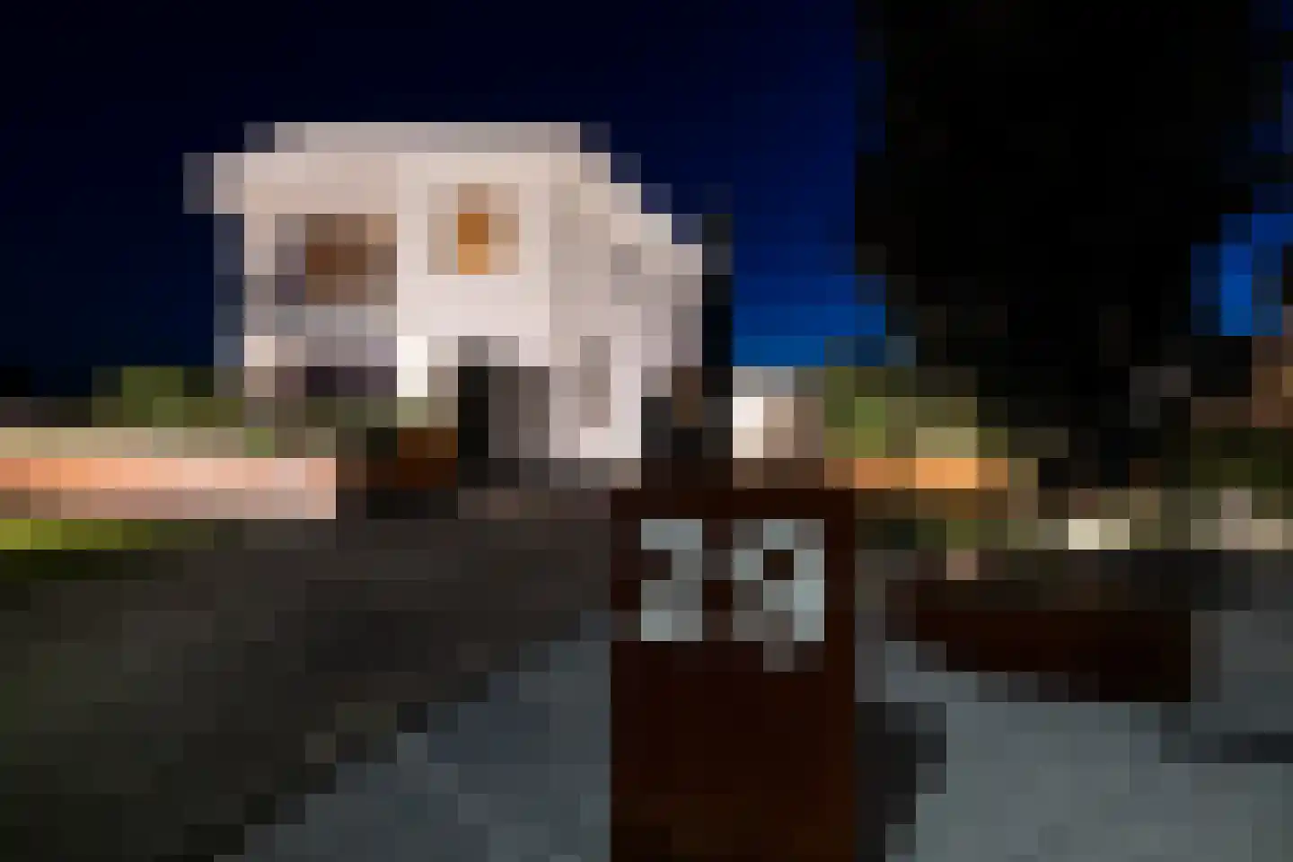Oude Rijksweg Noord 29 Susteren thumbnail 52