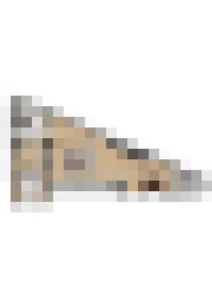 Oude Rijksweg Noord 29 Susteren thumbnail 58