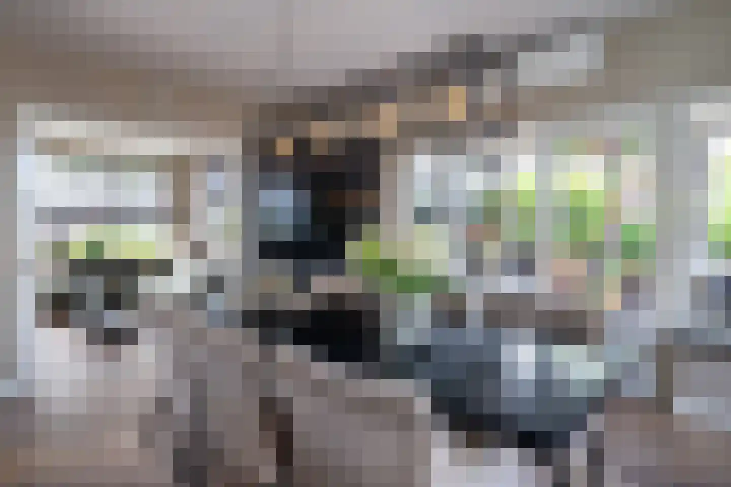 Oude Rijksweg Noord 29 Susteren thumbnail 8