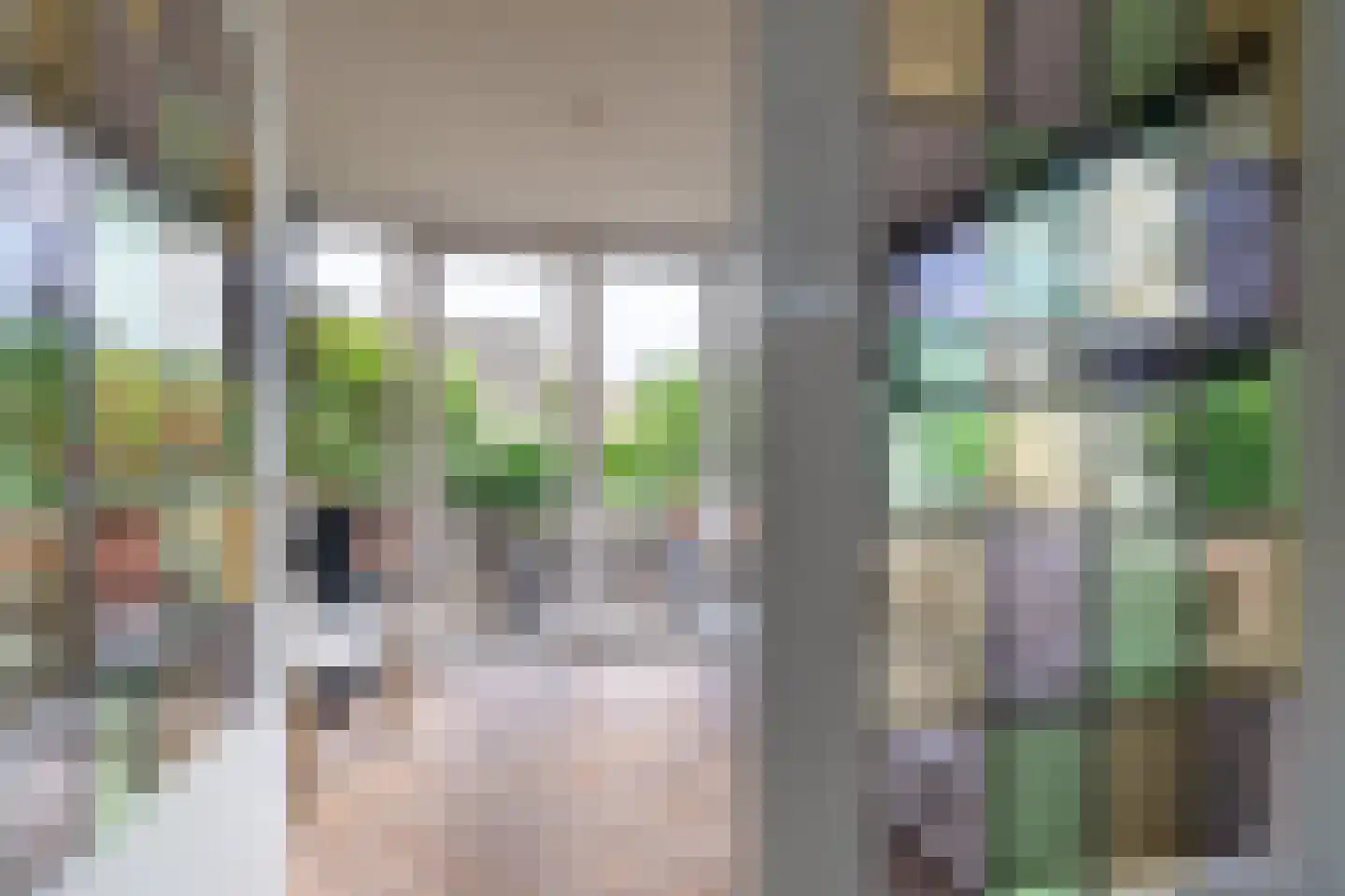 Oude Rijksweg Noord 29 Susteren thumbnail 9