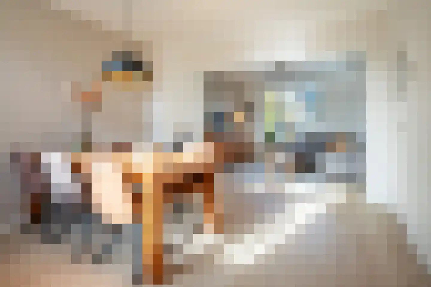 Oude Rijksweg Noord 44 Susteren thumbnail 11