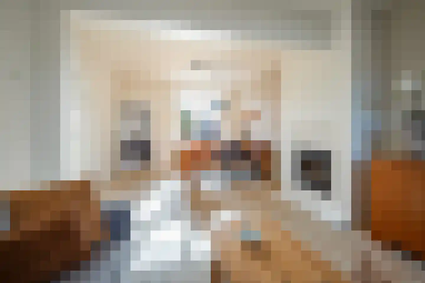 Oude Rijksweg Noord 44 Susteren thumbnail 13