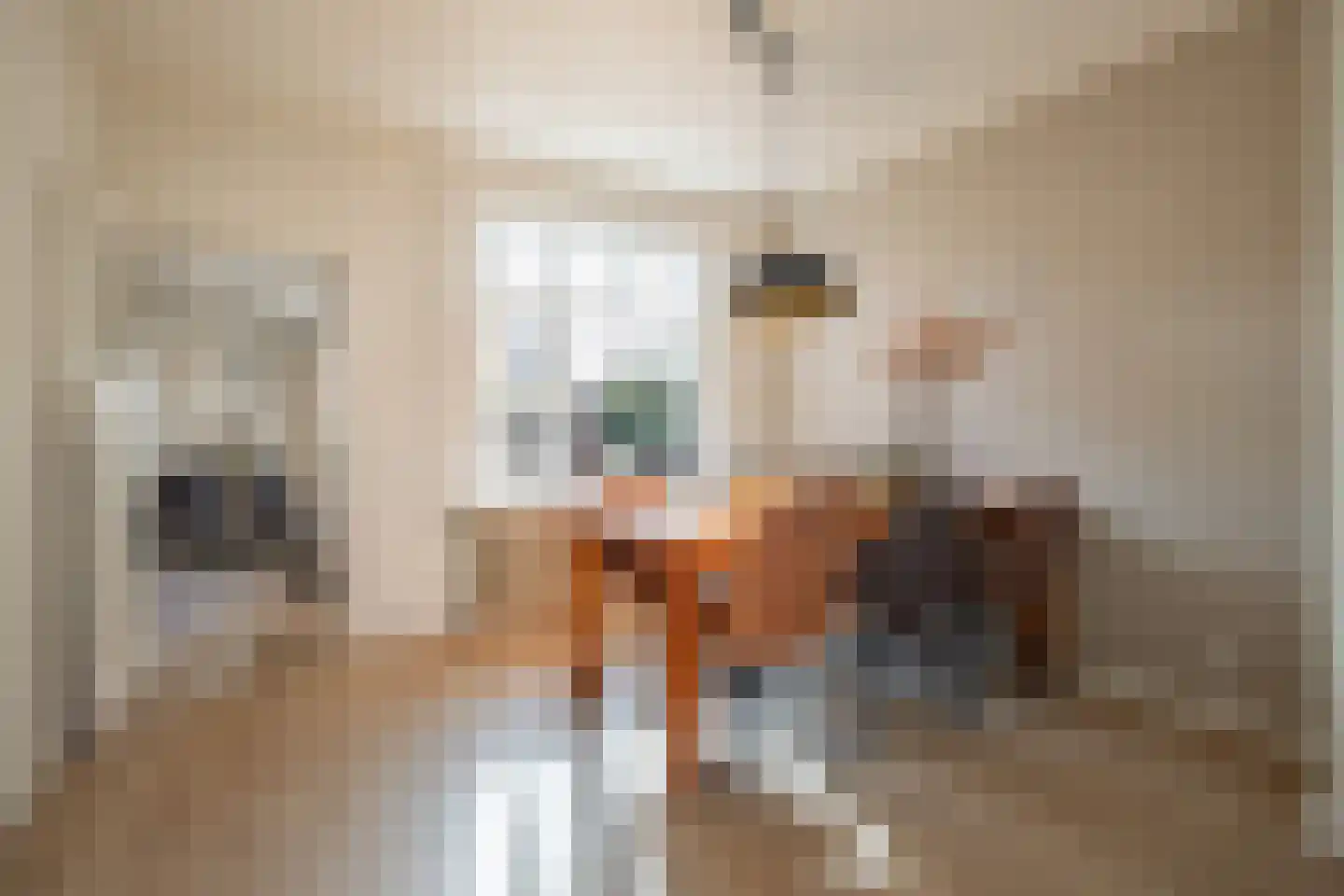 Oude Rijksweg Noord 44 Susteren thumbnail 15