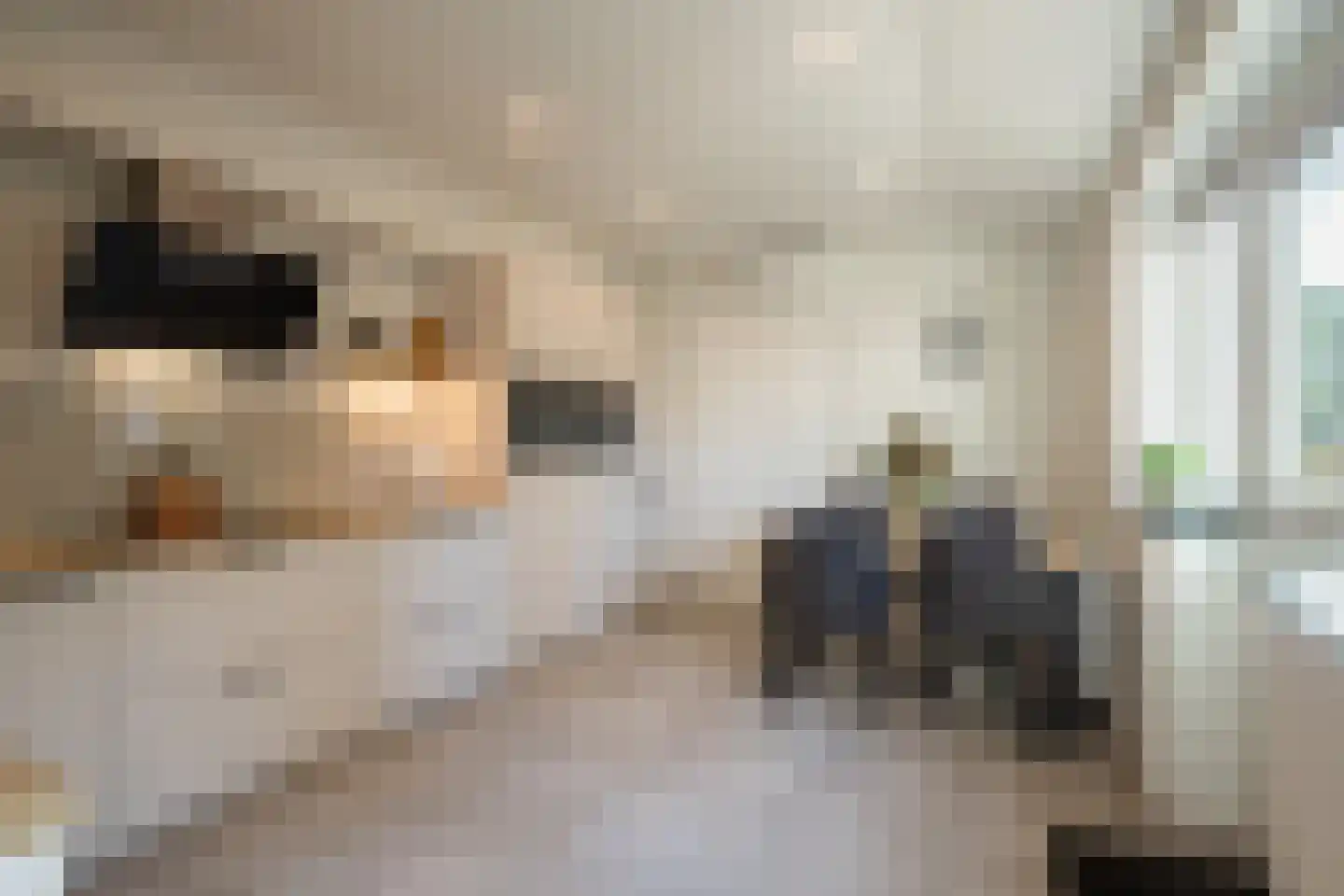 Oude Rijksweg Noord 44 Susteren thumbnail 17